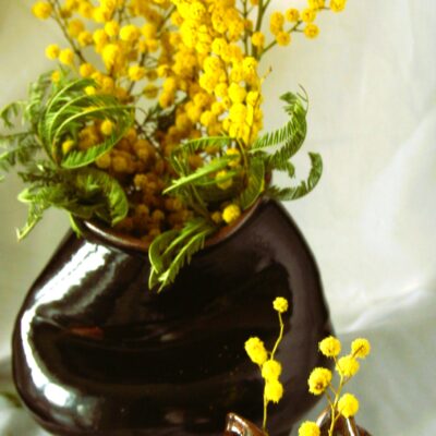 Duo vases "les Marsupu"